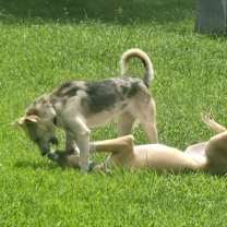 Thumbnail photo of Miss Mabel #3