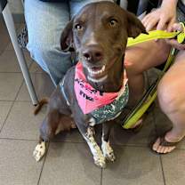 Thumbnail photo of Orla #2