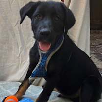 Thumbnail photo of Clark #1