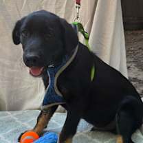 Thumbnail photo of Clark #4