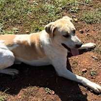 Thumbnail photo of Titan #2