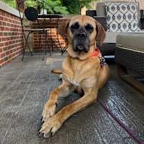 Thumbnail photo of Gucci #1