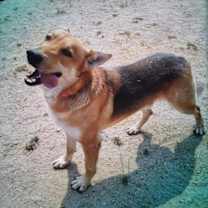 Thumbnail photo of Max #2