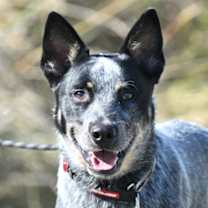 Thumbnail photo of Boots #1