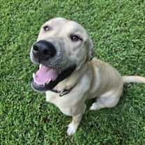 Thumbnail photo of Archer #2