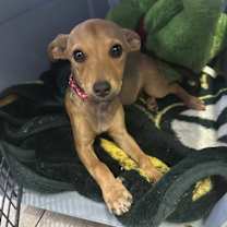 Thumbnail photo of Nellie #2