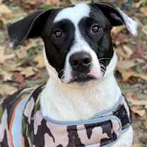 Thumbnail photo of Spot #2