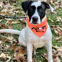 Thumbnail photo of Spot #3