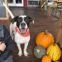 Thumbnail photo of Spot #4