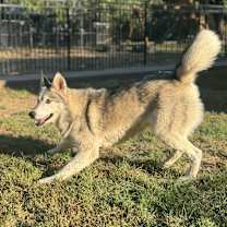 Thumbnail photo of Ava #2