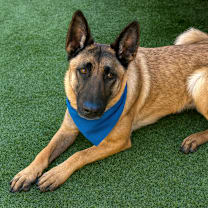 Thumbnail photo of Odette #1