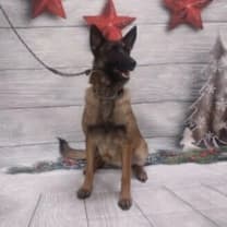 Thumbnail photo of Odette #2