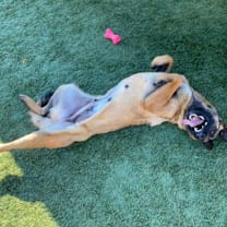 Thumbnail photo of Odette #3