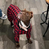 Thumbnail photo of Rigatoni #4