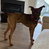 Thumbnail photo of Max #2