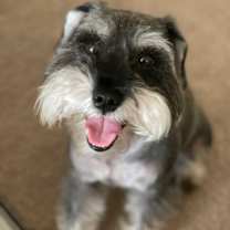 Thumbnail photo of OAKLEY #2