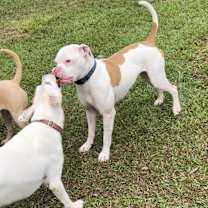 Thumbnail photo of Betty White #1