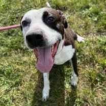 Thumbnail photo of Michael #1