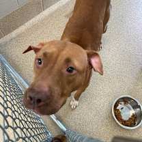 Thumbnail photo of Suzie #2