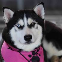 Thumbnail photo of Kiki #3