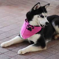 Thumbnail photo of Kiki #4