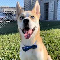 Thumbnail photo of TAZ #1