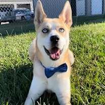 Thumbnail photo of TAZ #2