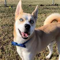 Thumbnail photo of TAZ #3