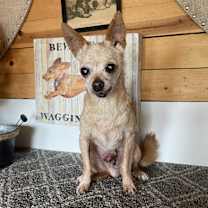 Thumbnail photo of Sheldon #1