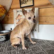 Thumbnail photo of Sheldon #2