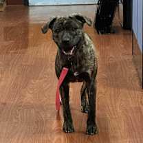 Thumbnail photo of Gene #3