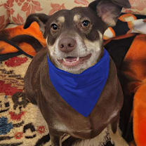 Thumbnail photo of Flower #1