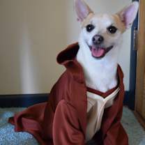 Thumbnail photo of Link #1