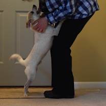 Thumbnail photo of Link #2