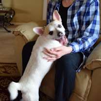 Thumbnail photo of Link #3