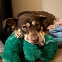 Thumbnail photo of Flower #2