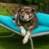 Thumbnail photo of Flower #3