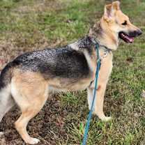 Thumbnail photo of Zoey #3