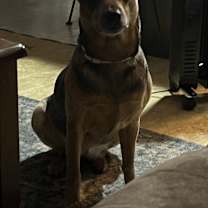 Thumbnail photo of Olivia #2