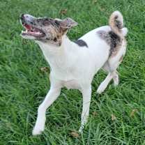 Thumbnail photo of Ulti (PA) Loves people! #2