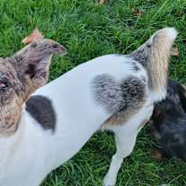 Ulti (PA) Loves people!