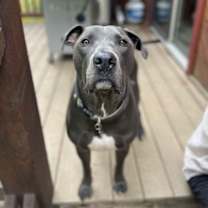 Thumbnail photo of Saranac - aka 'Snacks' (Courtesy) #4