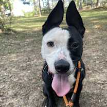 Thumbnail photo of Poseidon #1