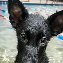 Thumbnail photo of Luna #2