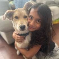 adopt-pet