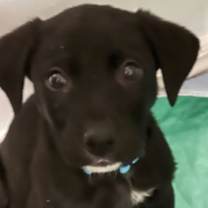 Thumbnail photo of Big Mac #2