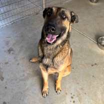 Thumbnail photo of Zeus #2