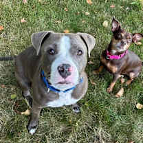 Thumbnail photo of Max #4