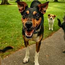 Thumbnail photo of May #4