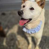 Thumbnail photo of Molly #4